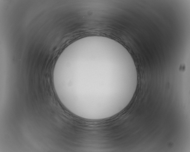 X0000111050229200906251127