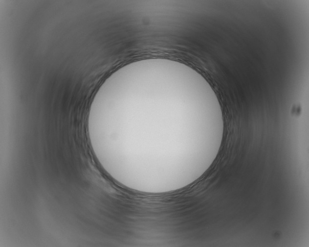 X0000111050235200906251127