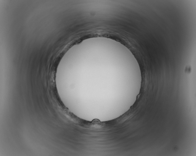 X0000111050236200906251127