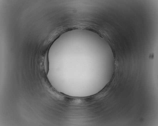 X0000111050237200906251127