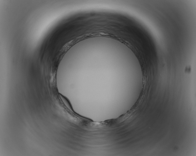 X0000111050239200906251127