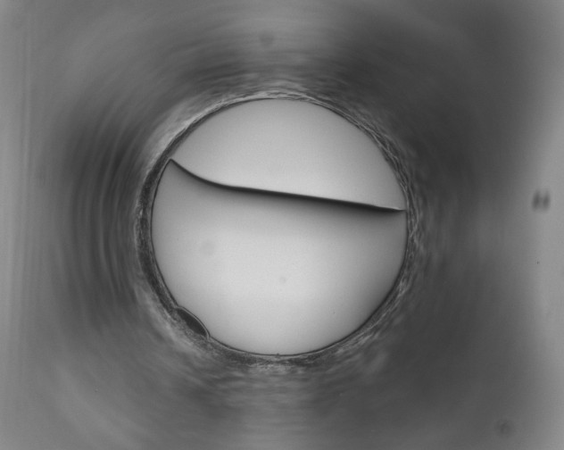 X0000111050242200906251126
