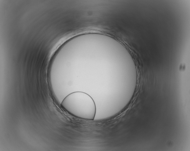 X0000111050244200906251126