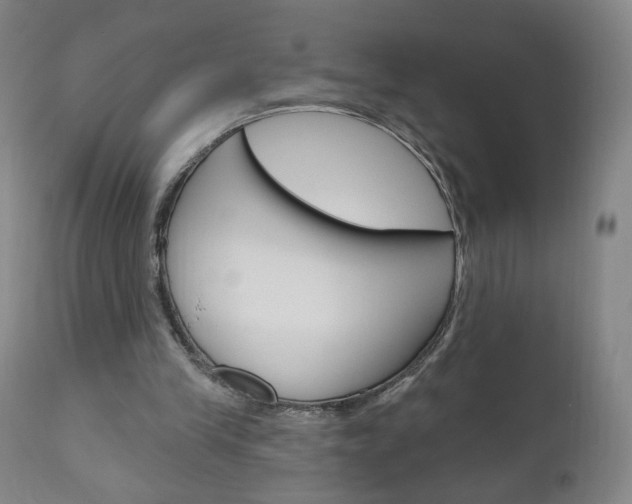 X0000111050245200906251126
