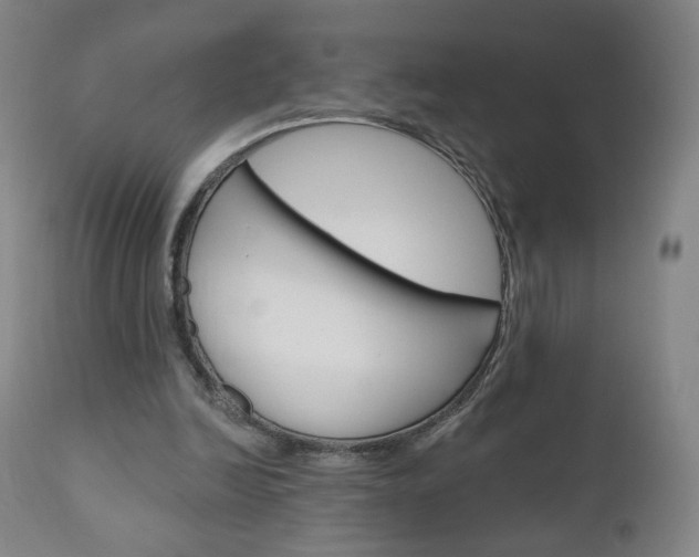 X0000111050246200906251126