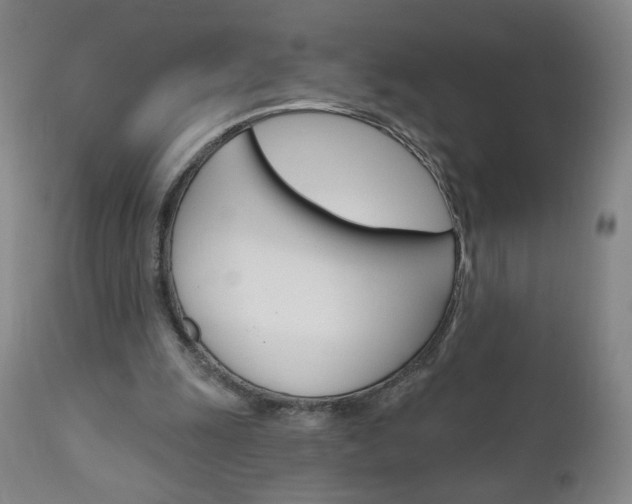X0000111050247200906251126