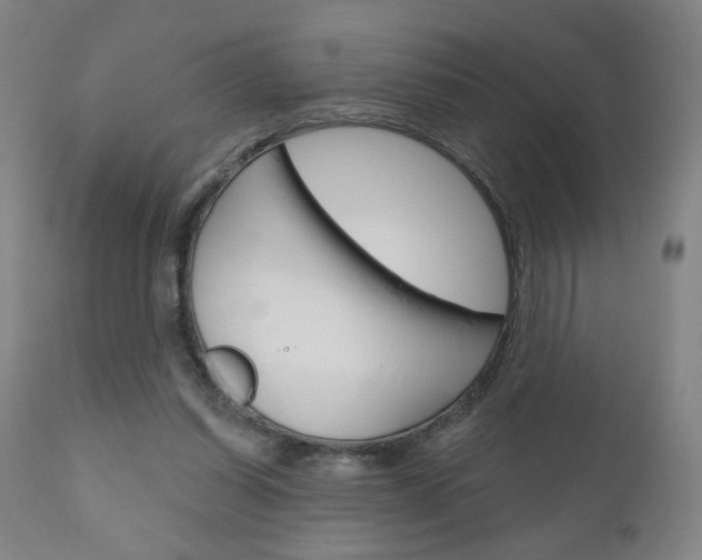 X0000111050254200906251126