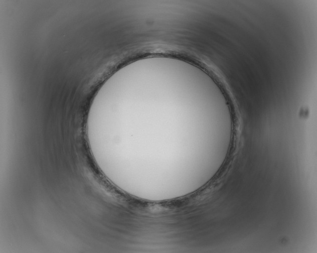 X0000111050257200906251126