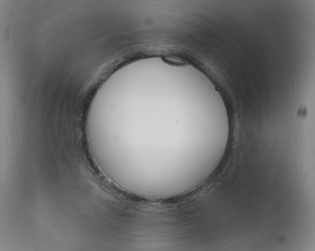 X0000111050258200906251127