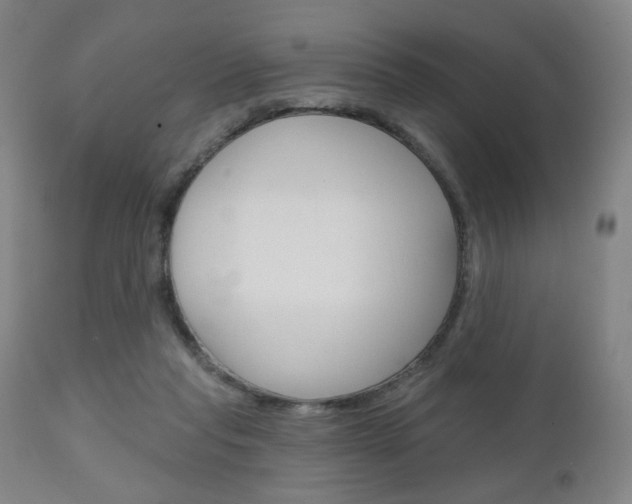 X0000111050261200906251127
