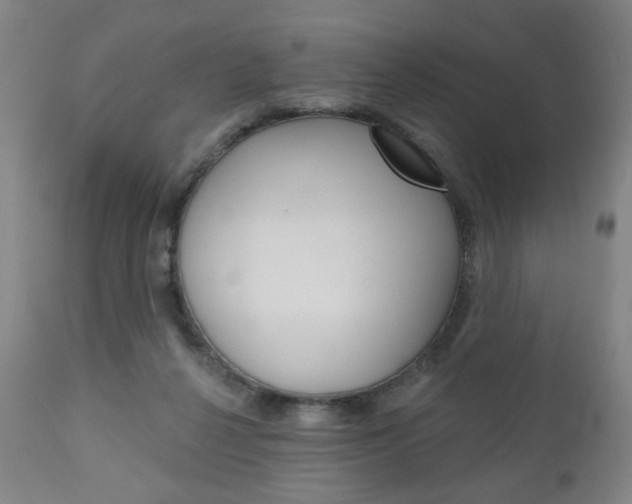 X0000111050264200906251127