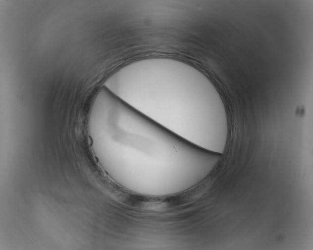 X0000111050266200906251127