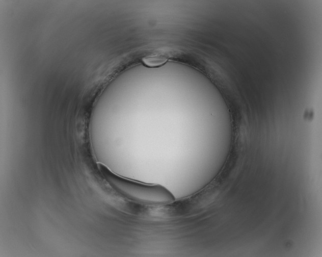 X0000111050268200906251127