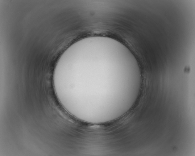 X0000111050269200906251127