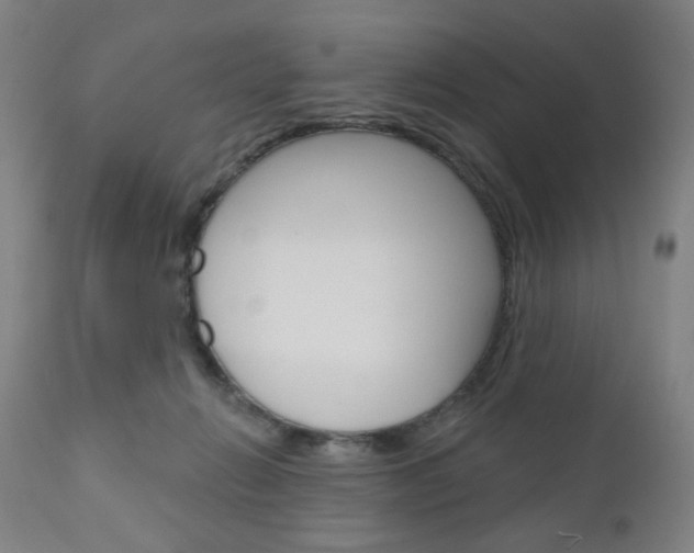 X0000111050270200906251127