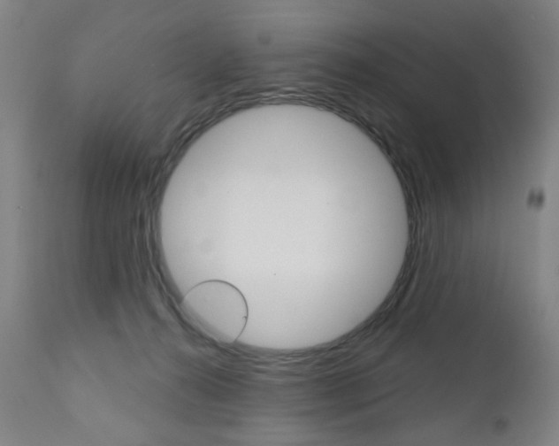 X0000111050272200906251127