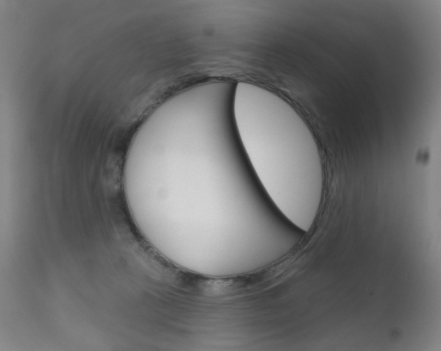 X0000111050273200906251127
