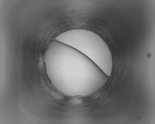 X0000111050276200906251127