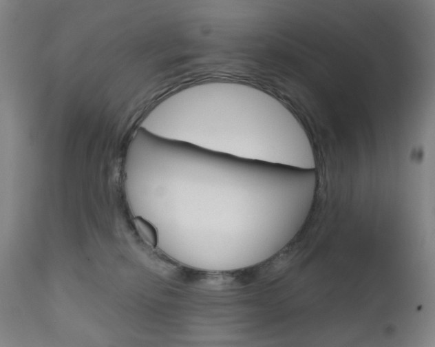 X0000111050278200906251127