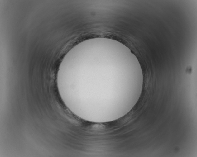 X0000111050279200906251127