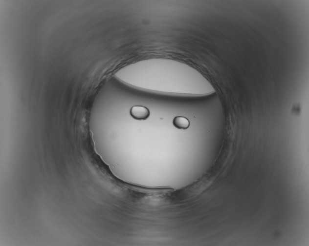 X0000111050280200906251127