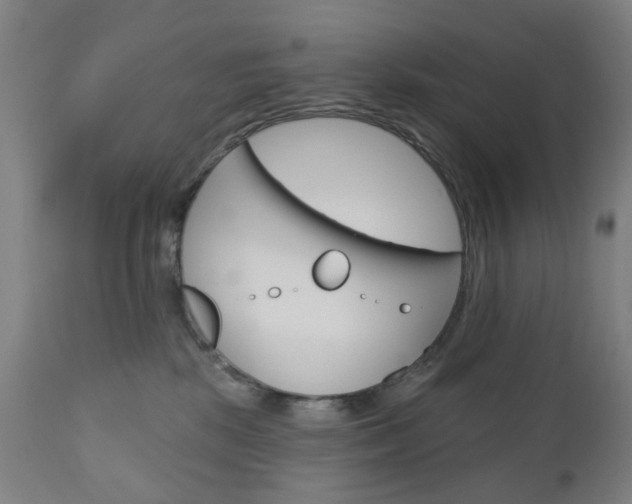 X0000111050281200906251127