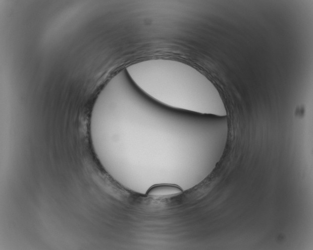 X0000111050282200906251127