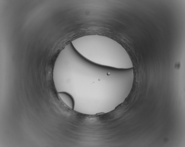 X0000111050283200906251127