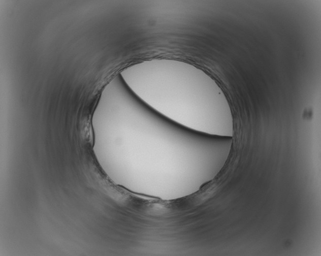 X0000111050285200906251127