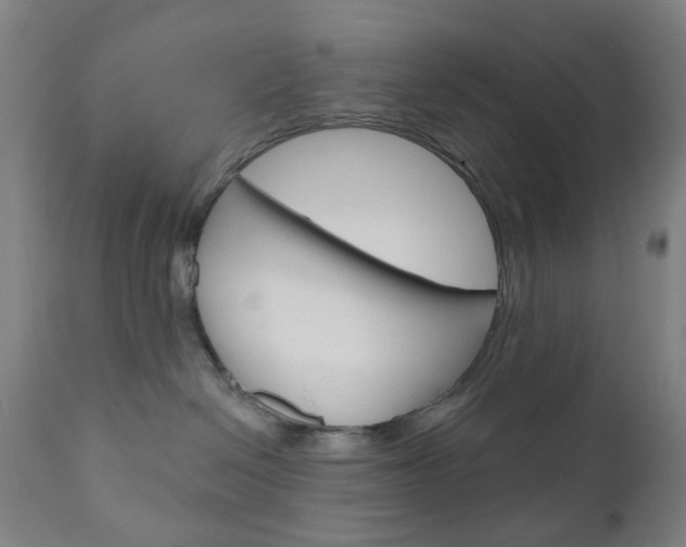 X0000111050286200906251127