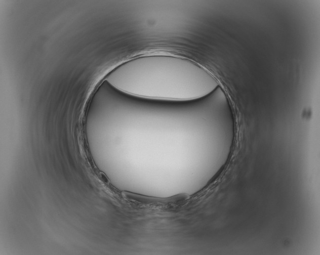 X0000111050289200906251126