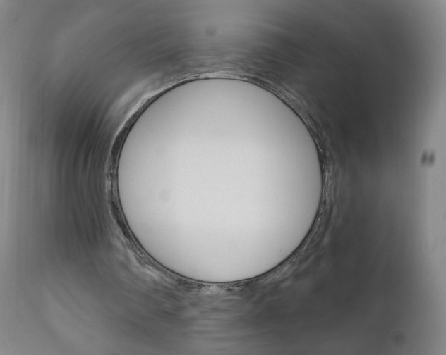 X0000111050290200906251126