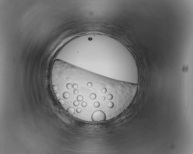 X0000111050291200906251126