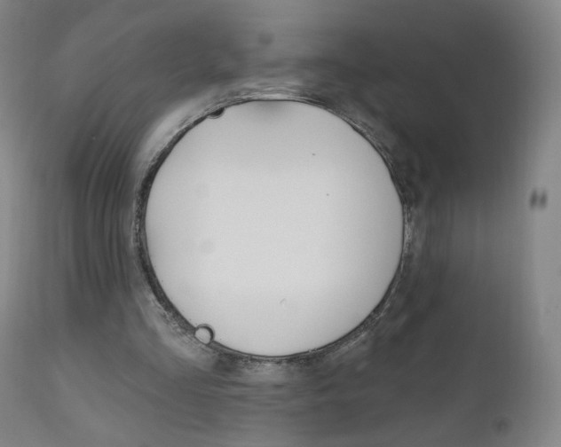 X0000111050293200906251126
