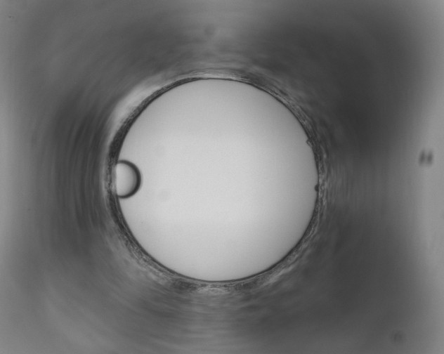 X0000111050294200906251126