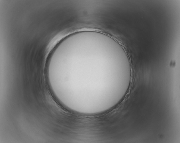 X0000111050296200906251126