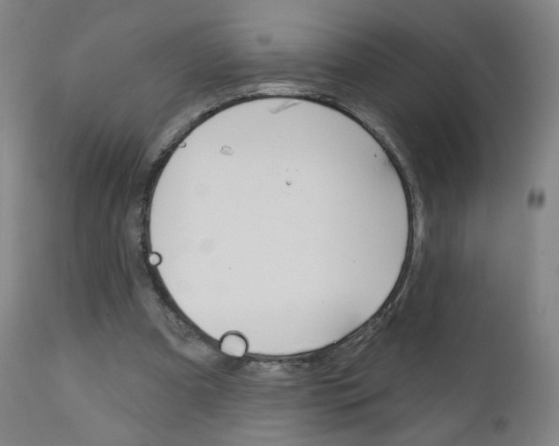 X0000111050297200906251126