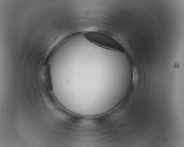 X0000111050300200906251126