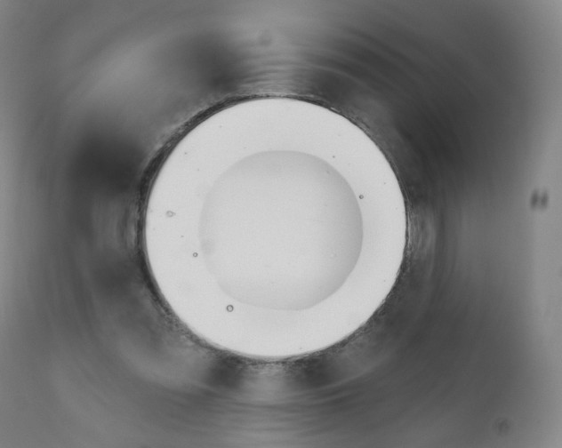 X0000111050301200906251126