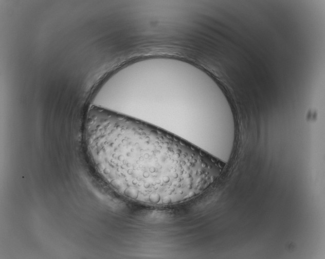 X0000111050303200906251126