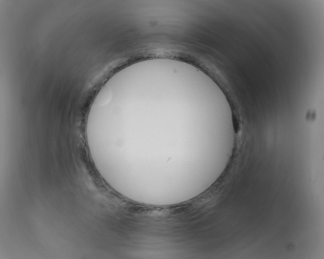 X0000111050306200906251126