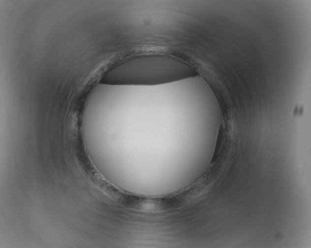 X0000111050308200906251126