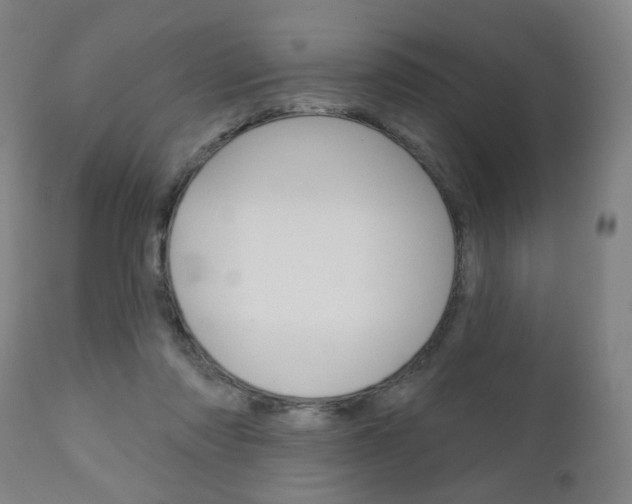 X0000111050310200906251126