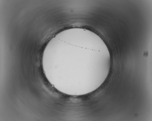 X0000111050311200906251126