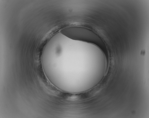 X0000111050312200906251126