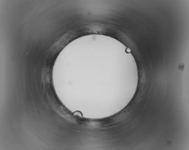 X0000111050313200906251126