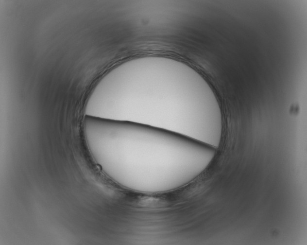 X0000111050315200906251126