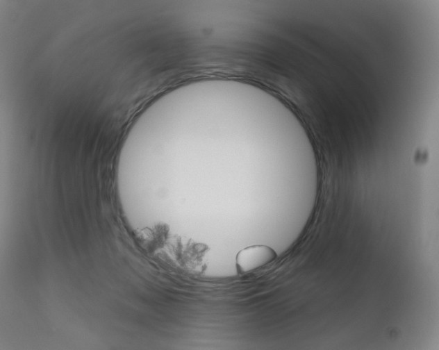 X0000111050317200906251126