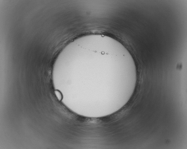 X0000111050321200906251126