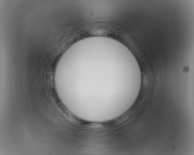 X0000111050322200906251126